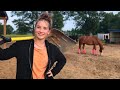 Our Farm MORNING ROUTINE Milking Feeding Etc