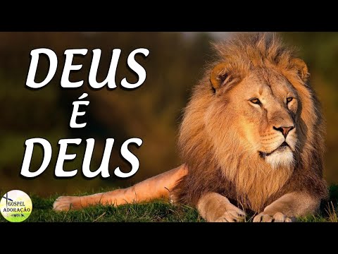 Louvores Que Proverá Sua Vitória - Melhores Músicas Gospel Para Ouvir 2022 - Playlist 111