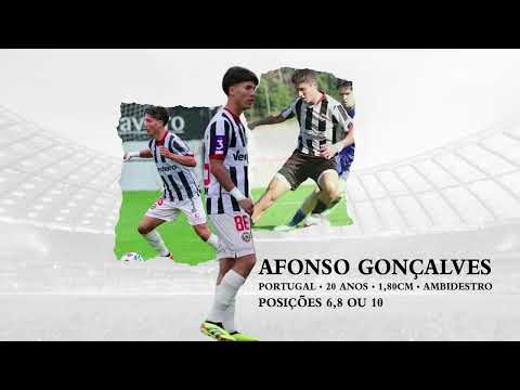 Afonso Gonçalves Resumo