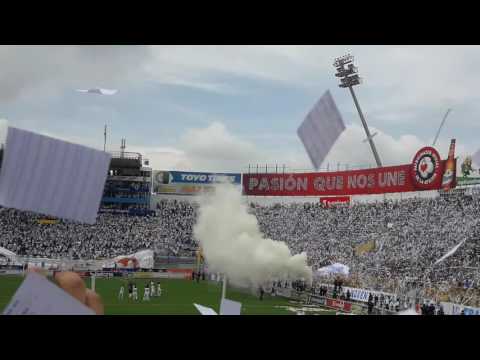 "Alianza la mejor aficion" Barra: La Ultra Blanca y Barra Brava 96 • Club: Alianza • País: El Salvador