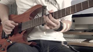 The Winery Dogs - Elevate - Guitar performance by Cesar Huesca