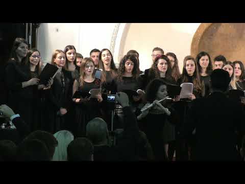 Festival Amicus 2018(21)