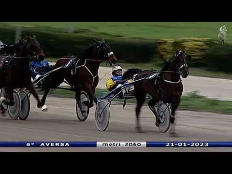 Aversa trotto 21 Gennaio 2023 - 6° Corsa