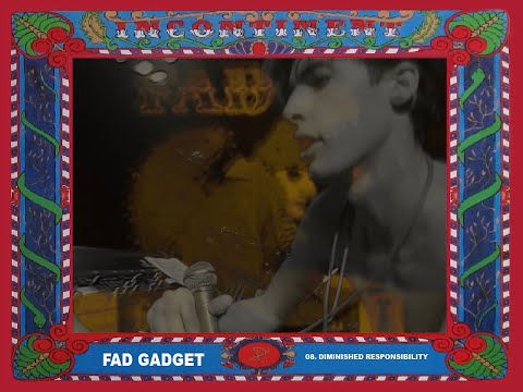 Fad Gadget - 'Incontinent' - (Video LP)