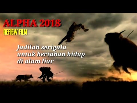 ALPHA 2018 ll Berteman lhaaa dengan serigala untuk bertahan hidup di alam liar (keda)