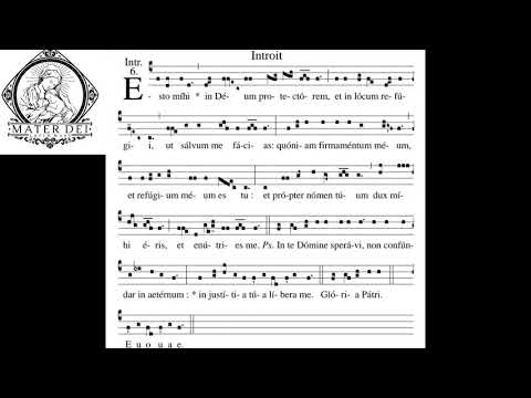 Quinquagesima - Introit Proper