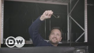Miniatura do vídeo