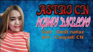 Download lagu ASTRI CN - NGIMPI DI KELONI mp3