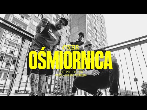 Onar feat. Paluch, Lipa - Ośmiornica (prod. SHDOW, premixm)