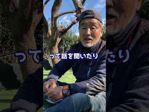 aménagement paysager Terry Hills piscine plage immergée