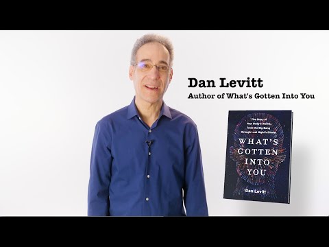 Dan Levitt author video — "What's Gotten Into You" from HarperCollins