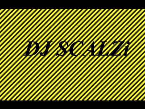 DJ SCALZi - 3OH3 - Don't trust me (remix)