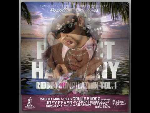 PERFECT HARMONY MEGA REMIX  PART1  MAY 2011 Buju Beenie Vybz Kartel Sizzla Mr Vegas & MANY MORE