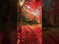 Tere Dar Par Sanam Chale Aaye Status Song Whatsapp Status Video
