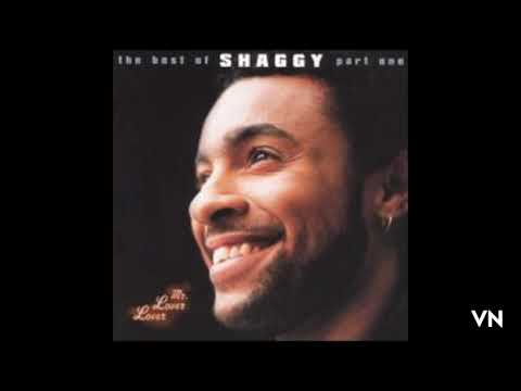 Shaggy - Boombastic [Sting Remix]