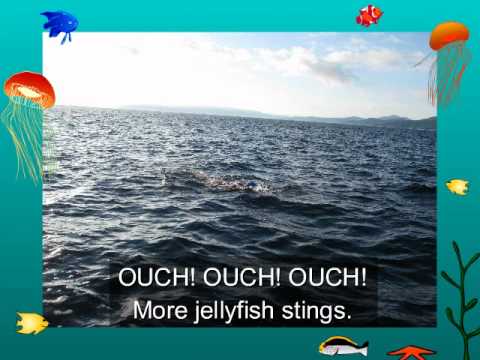 Japan Tsugaru Strait Swim 2012, Pat Gall