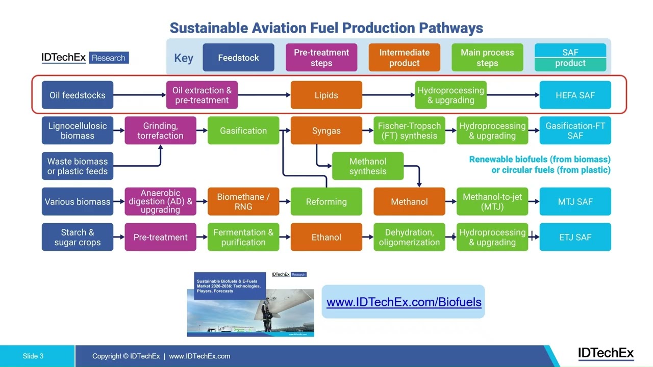 Biofuels and E-Fuels Video: Production Pathways and Outlook | IDTechEx ...