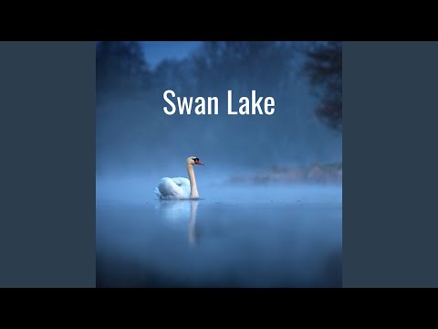 Tchaikovsky: Tchaikovsky: Swan Lake, Op.20, TH.12 / Act 1: No.5d Pas de deux: Coda