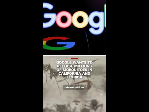 Google wants to release millions of mosquitoes in California and Florida