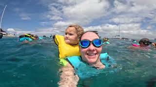 Baby Swim Vlog Swimming With Sea Turtles in Waikiki!