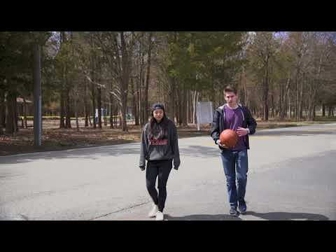 Try it Again - The Hives