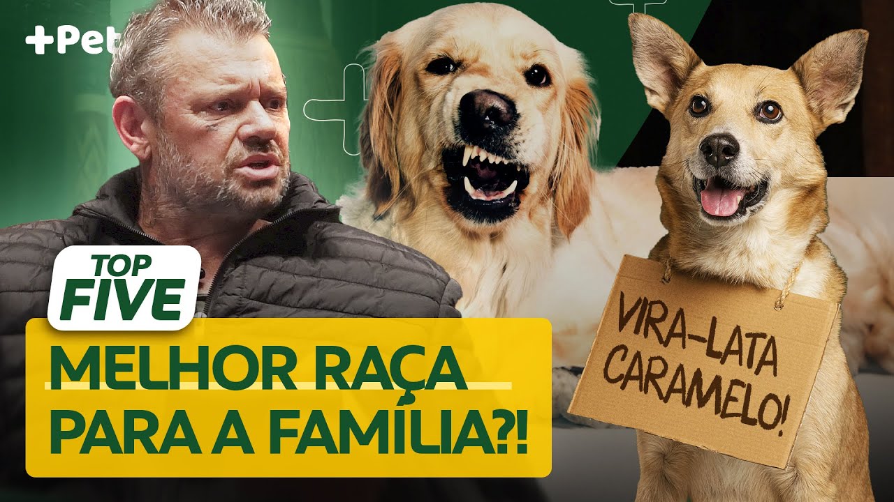 ESSAS SÃO AS MELHORES RAÇAS DE CÃES PARA SUA FAMÍLIA! | CANAL MAIS PET