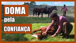 Miniatura do vídeo