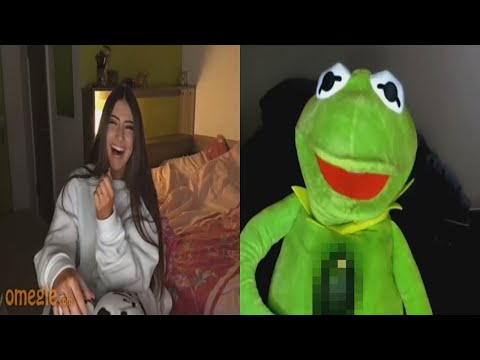 kermit live