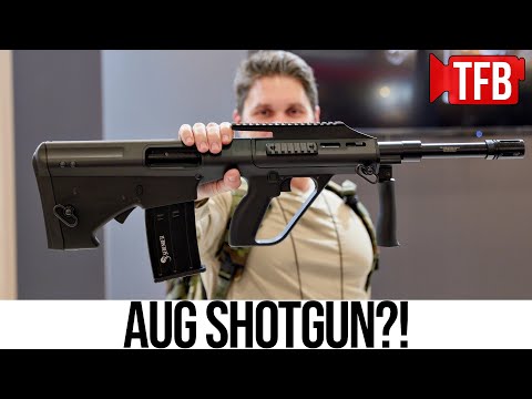 An AUG SHOTGUN? The Serengeti AUG 12 (Panzer Arms) | IWA 2025