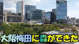 【大阪駅の森が完成９割】4K夏休みのグラングリーン大阪｜6000億円の再開発｜うめきたの森