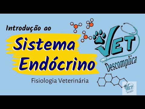 Introduction to the Endocrine System - Veterinary Physiology (Physical Monitoring II 1)