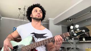 WOLFKAT - Ramona Flowers (Bass Cover)