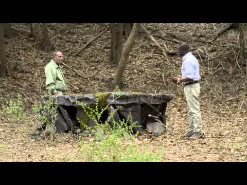 Deep in the Darkness