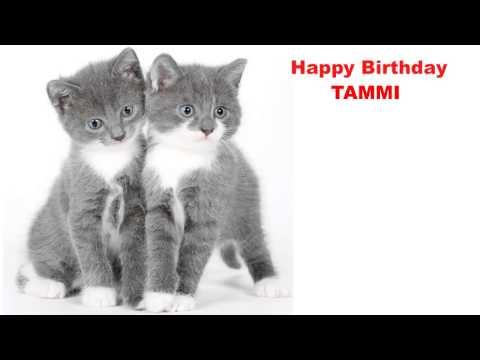 Tammi  Cats Gatos - Happy Birthday
