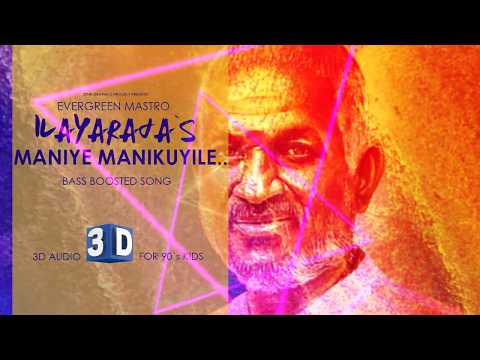Maniye Manikuyile | Bass Boosted | Ilayaraja Melody | All time Mastro