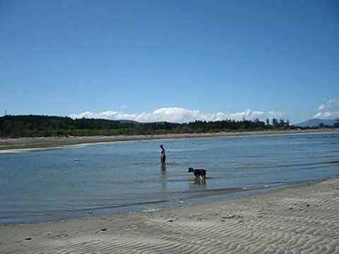 Island View Beach 004.AVI