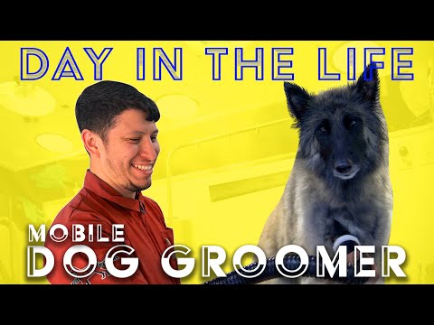 Day In The Life - Mobile Dog Groomer