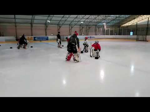 Hermes goaliecamp G-E juniorit 2017