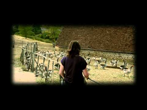 Gold In The Air Of Summer (Kings Of Convenience)