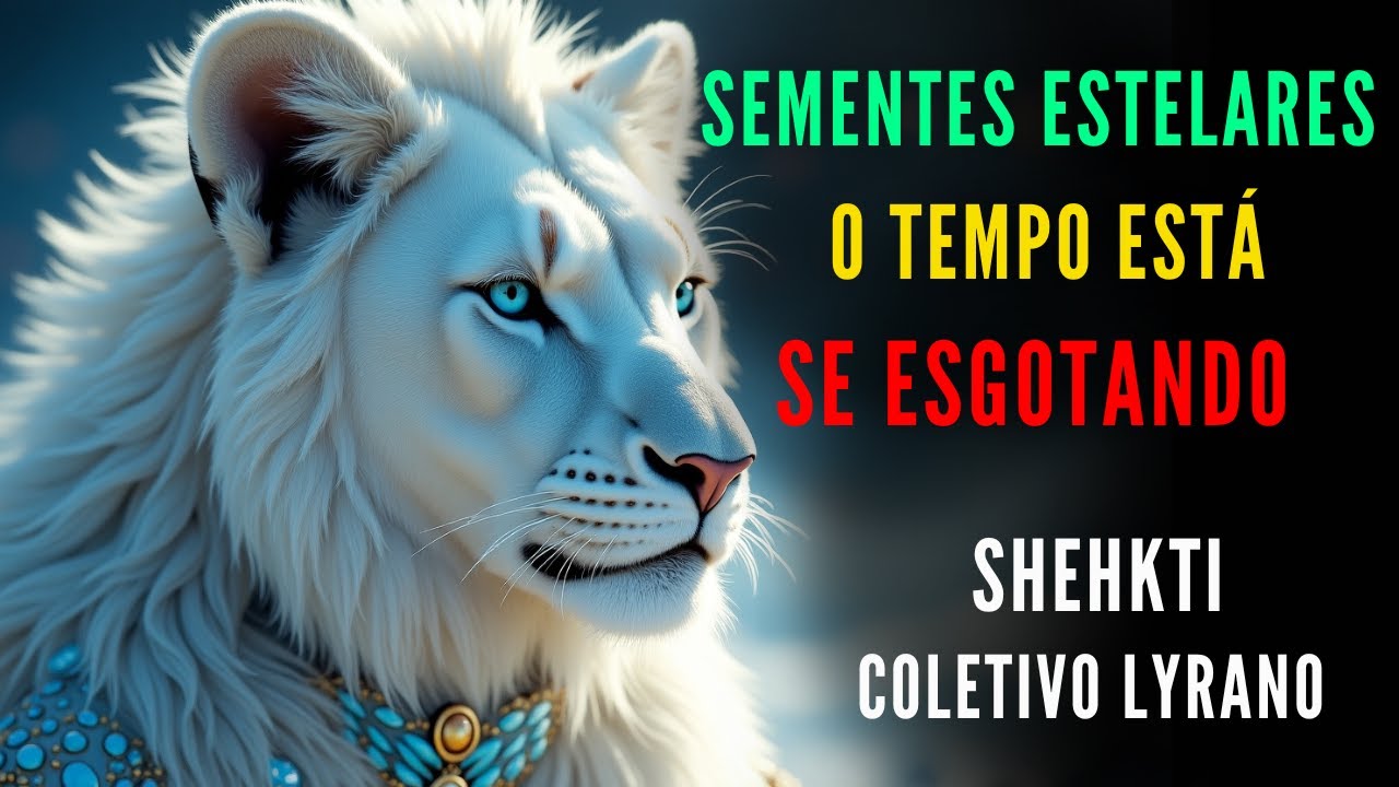 🔴SHEHKTI - COLETIVO LYRANO  |  "O GRANDE FLASH SOLAR: Prepare se Para o Evento de Ascensão da Terra"
