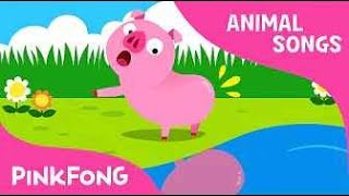Did You Ever See My Tail？ ｜ Animal Songs ｜ PINKFONG Songs for Children