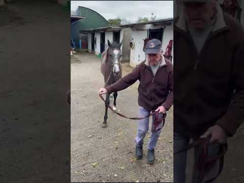 Video 1