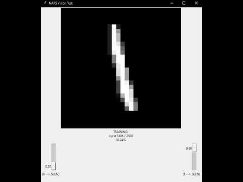(NARS-Python) simple vision test