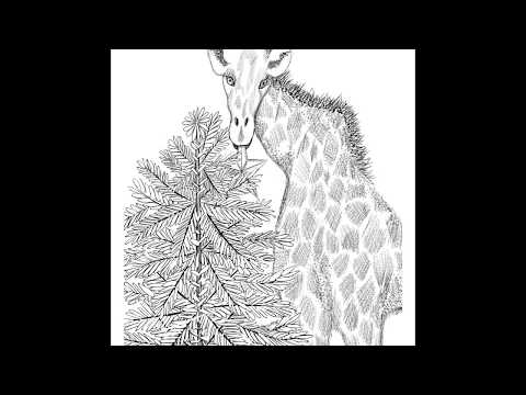 Animals of Christmas - Coloring Book Preview