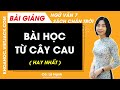 Bài học từ cây cau Ngữ văn lớp 7 Chân trời sáng tạo