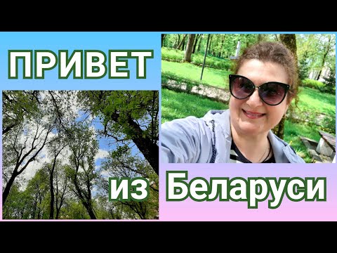 136) Привет из Беларуси! Безобразие продолжается. Реконструкция дороги 🇧🇾 Saluti dalla Bielorussia!