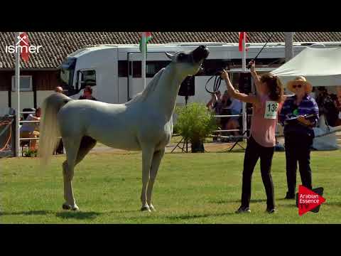 N.136 AJ NAYAL - Strohen 2018 B Int