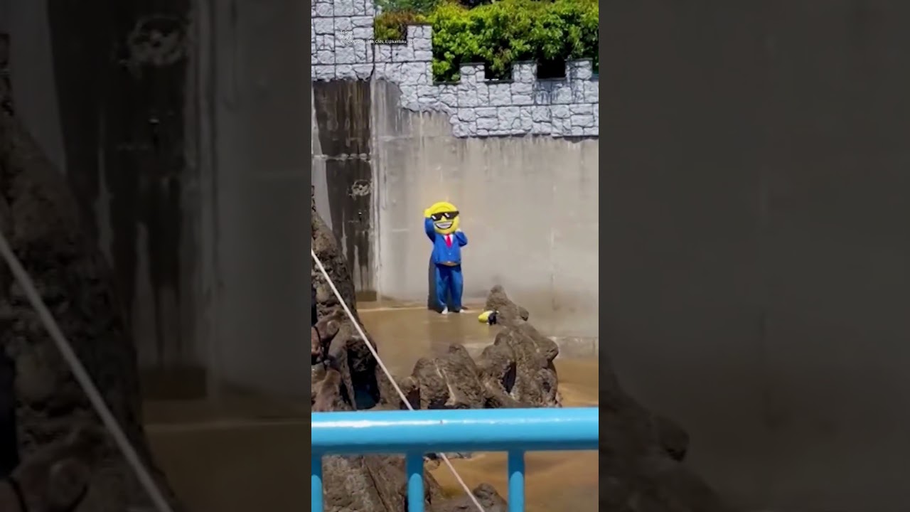 Costumed American Arrested After Jumping Into Punch the Monkey's Enclosure in Japan - YouTube