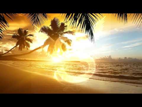 SintaKk - Liebe zum Leben