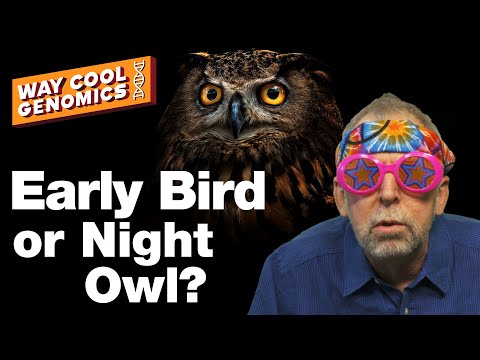 Why are you a night owl? #genomics #genome #neanderthal #circadianrhythms #science